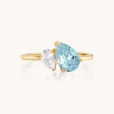 Leesha Birthstone Ring