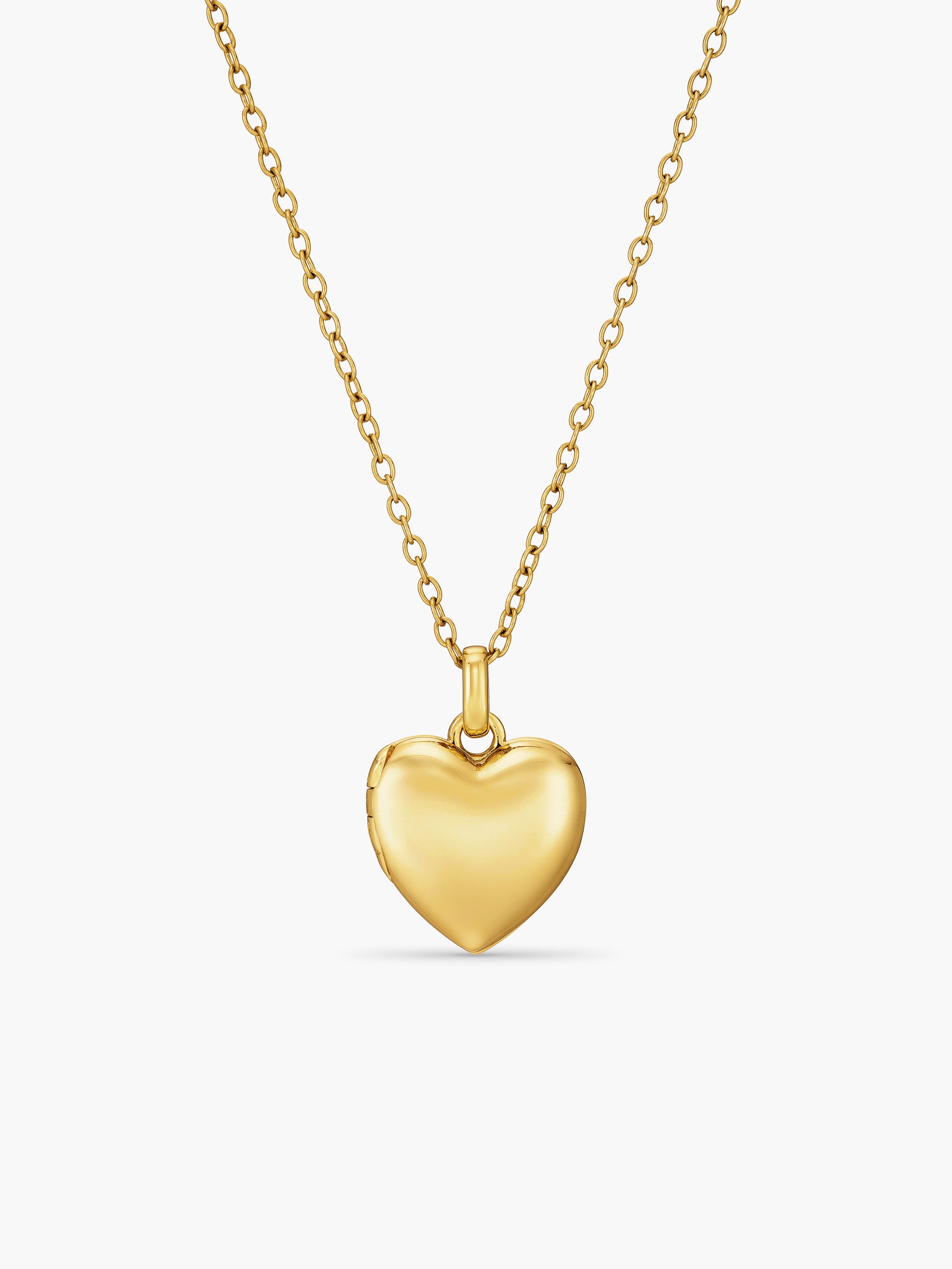 Heart Double Photo Locket Necklace