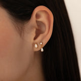 Lustre Earrings