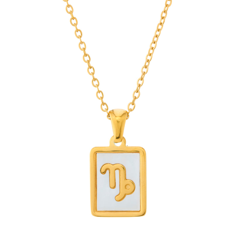 Zodiac Grace Necklace