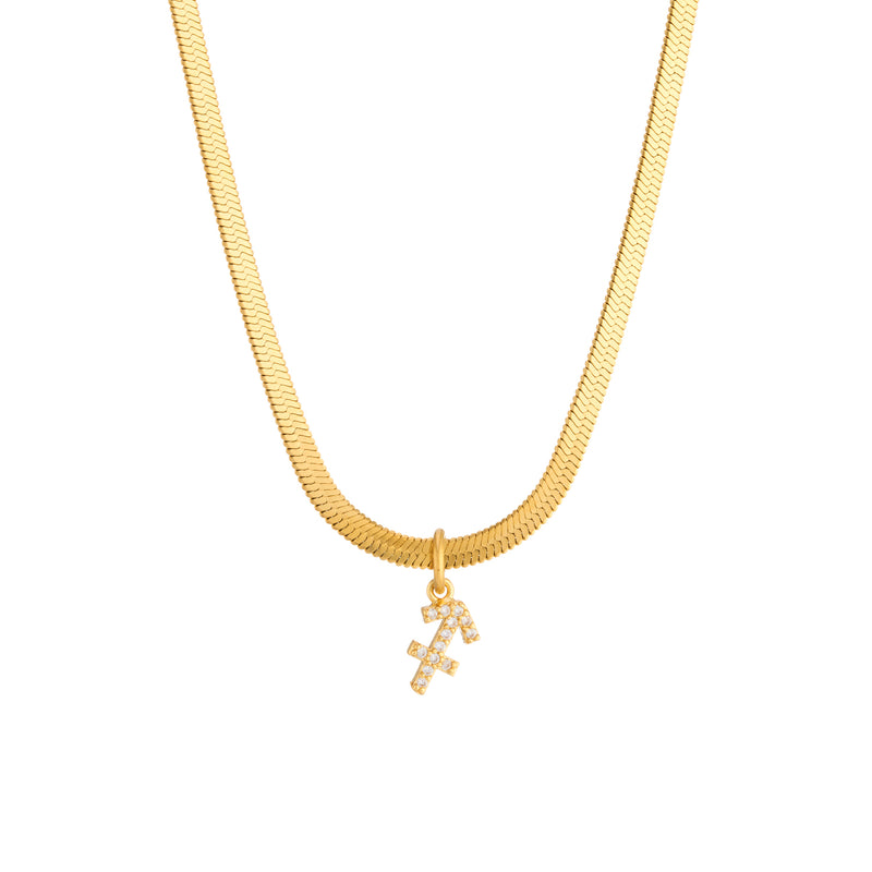 Ava Zodiac Necklace