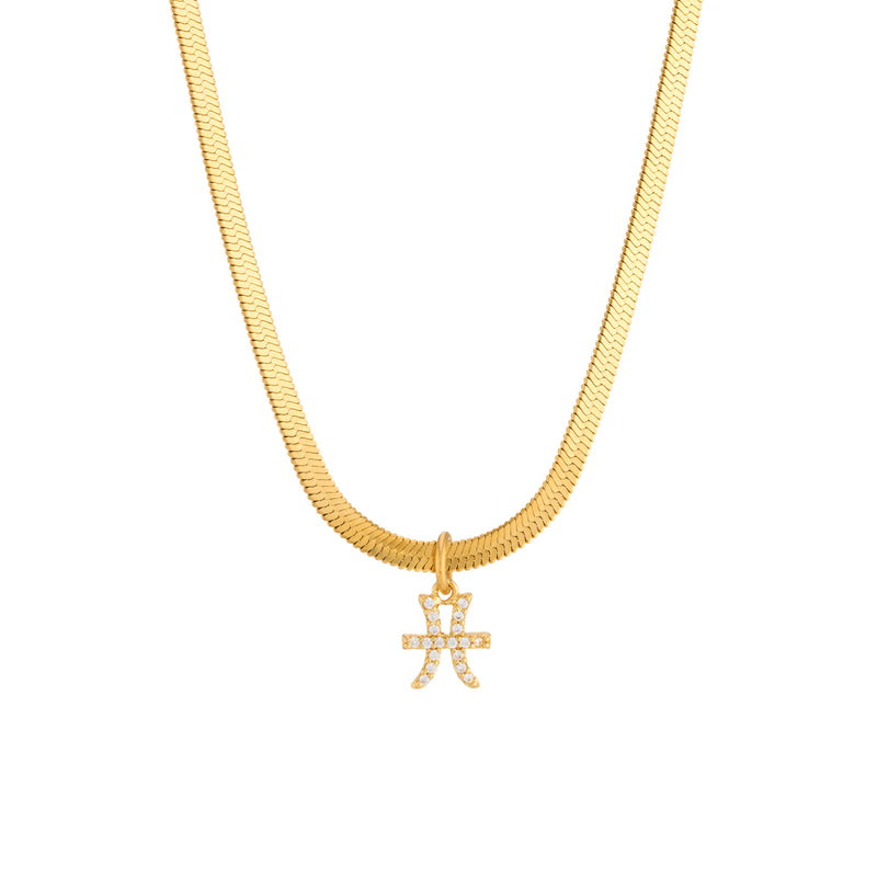 Ava Zodiac Necklace