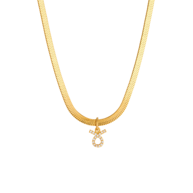 Ava Zodiac Necklace