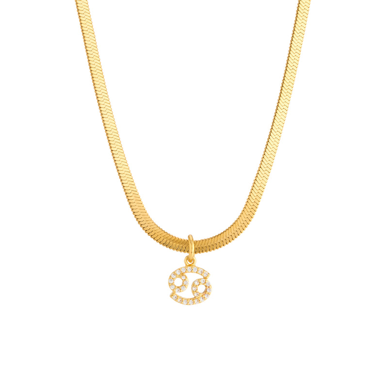 Ava Zodiac Necklace