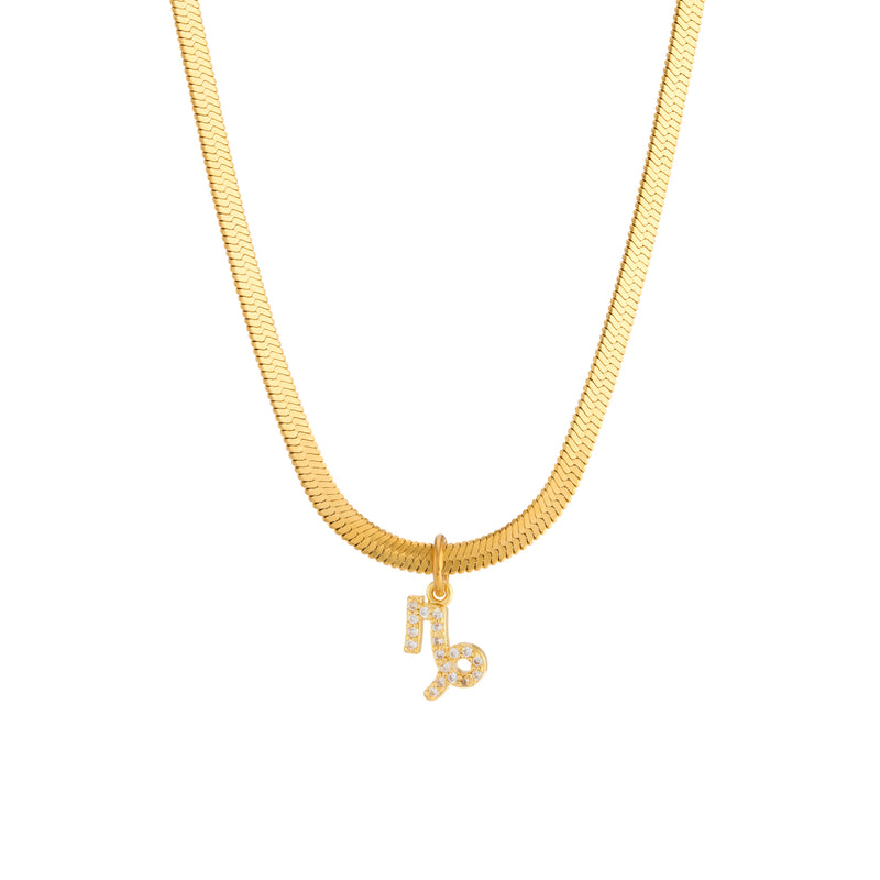 Ava Zodiac Necklace